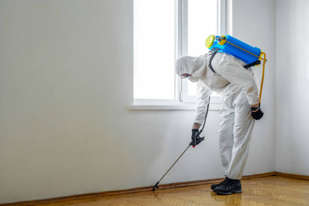 Best Emergency Pest Control  in Dalton, GA